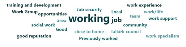 Word cloud summary of responses. The largest words in the centre (indicating most responses) are working and job. 

Other words in the word cloud include: training and development, work group, opportunities, social work, good area, good reputation, job security, local, community, close to home, work support, work experience, and work specialism